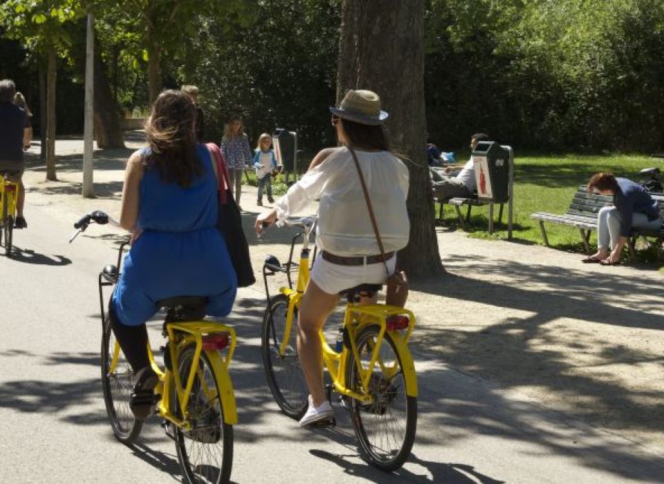 Yellow Bike