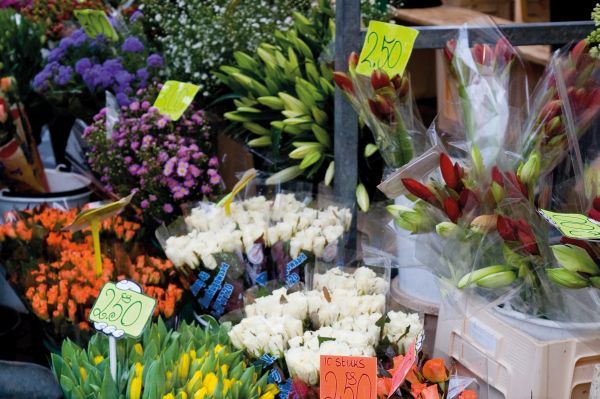 Bloemenmarkt (Flower market) Amsterdam